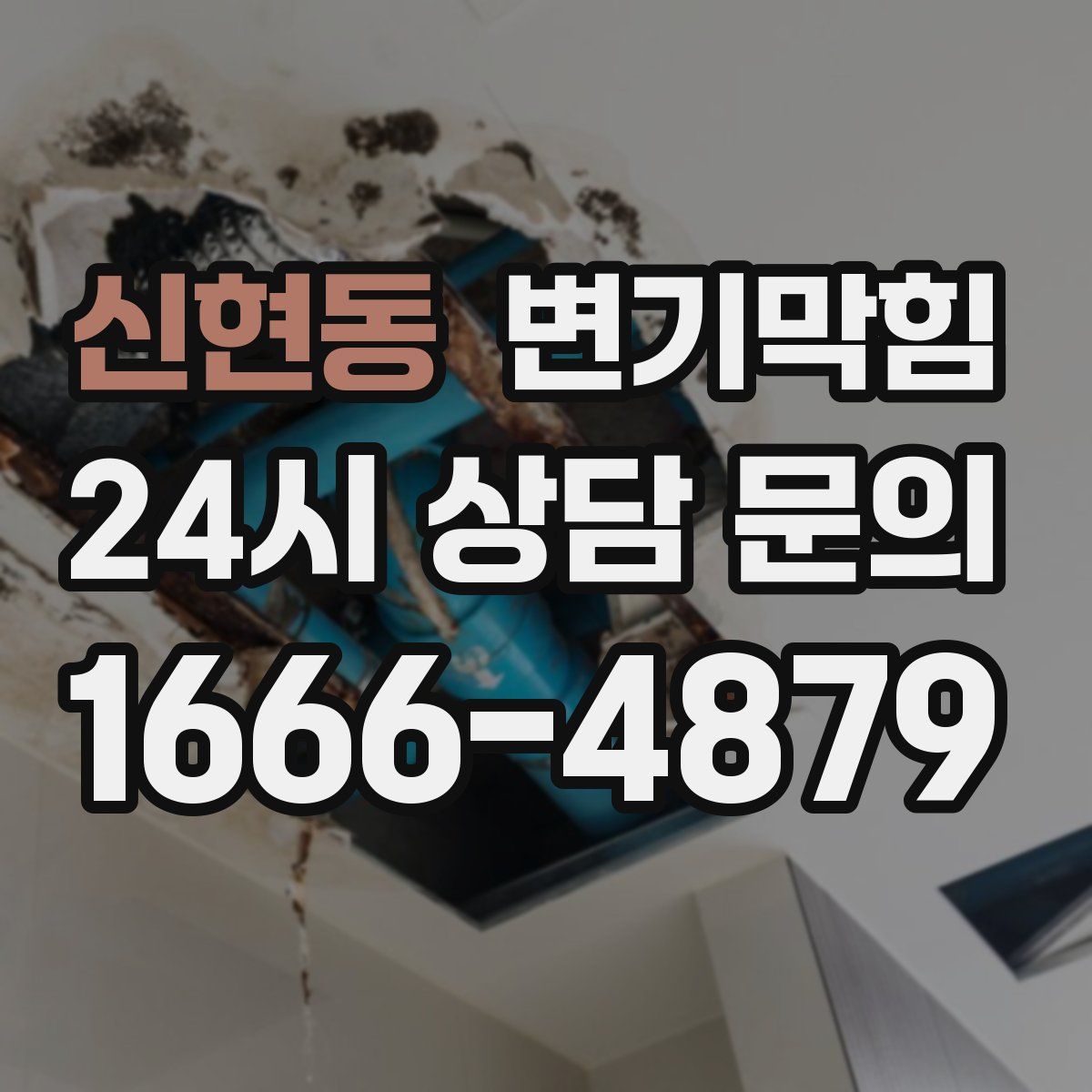 신현동 변기막힘