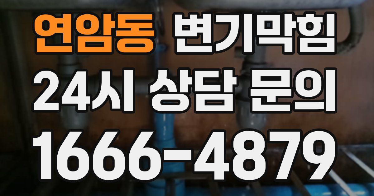 연암동 변기