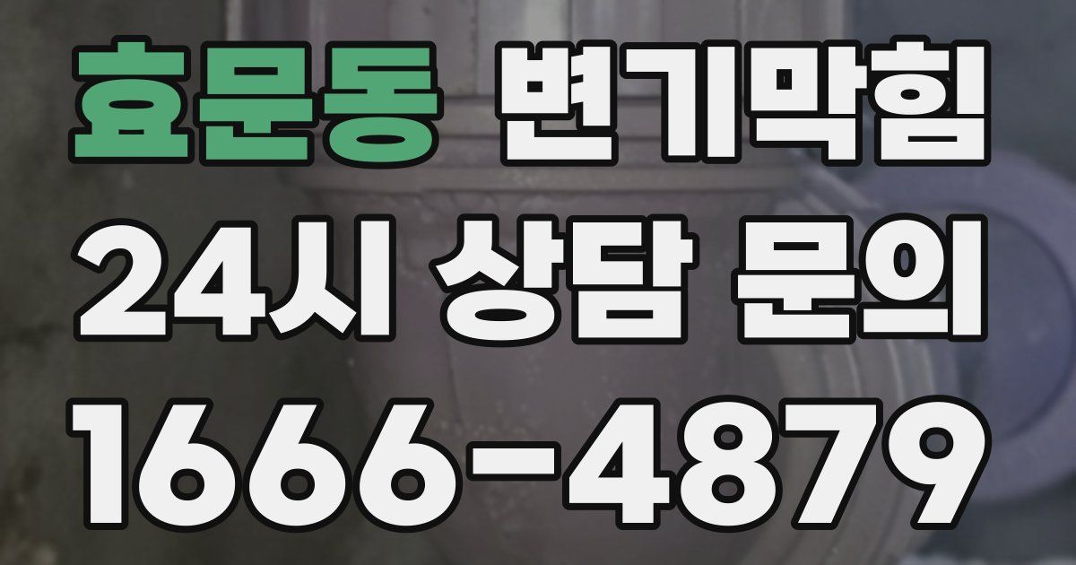 효문동 변기