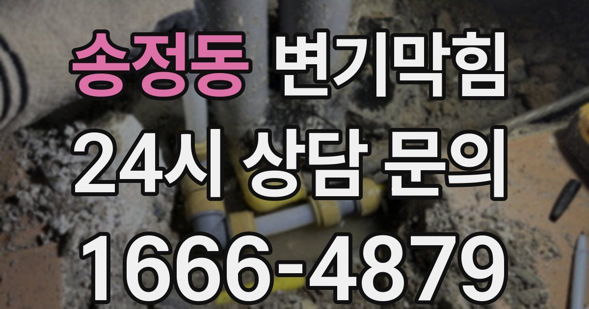 송정동 변기