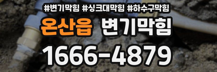변기막힘