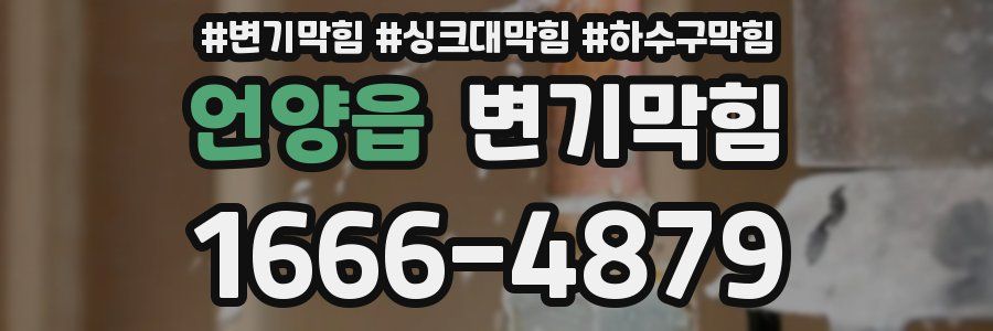 변기막힘