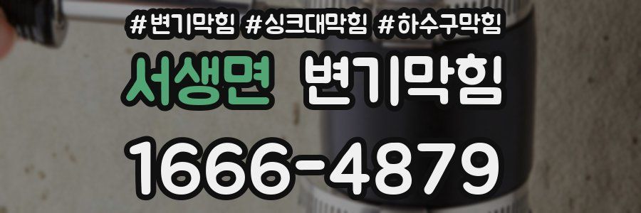 변기막힘