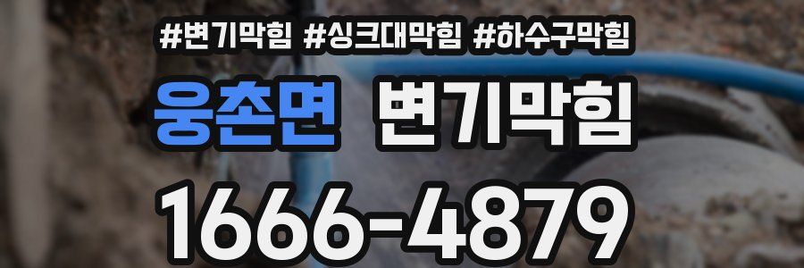 변기막힘