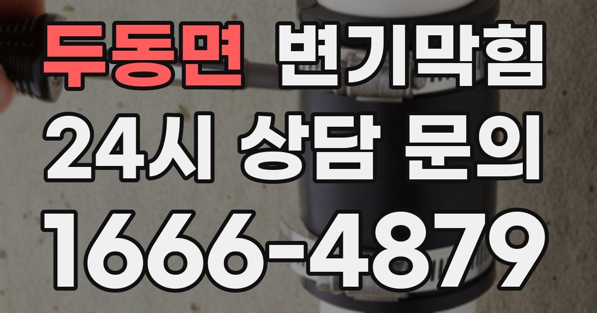 두동면 변기