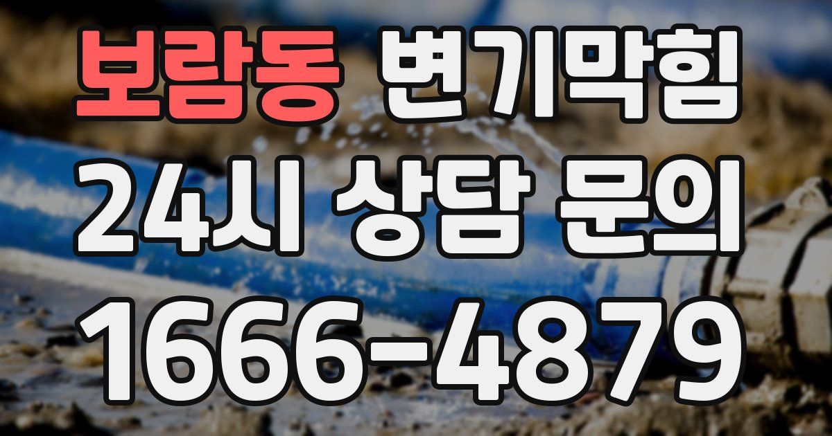 보람동 변기