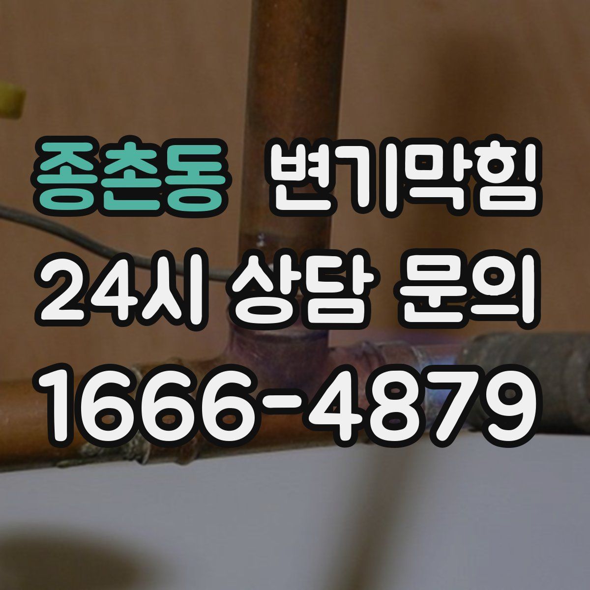 종촌동 변기막힘