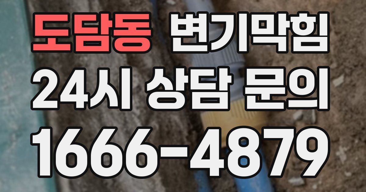 도담동 변기