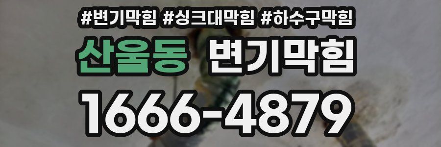 변기막힘