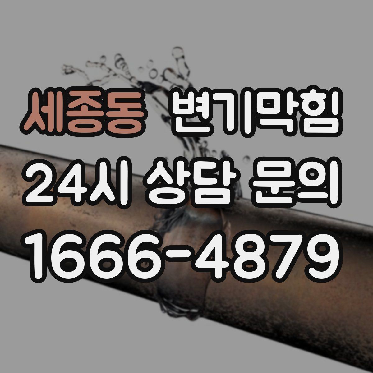 세종동 변기막힘 변기가막혔을때 청소도구 유입 주의