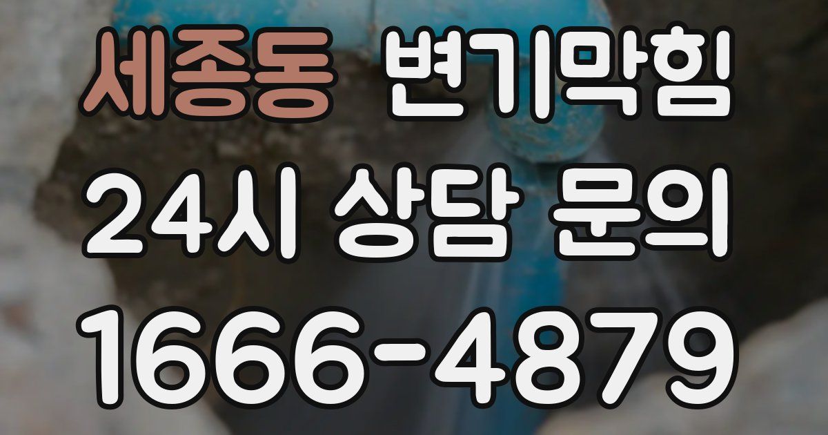 세종동 변기