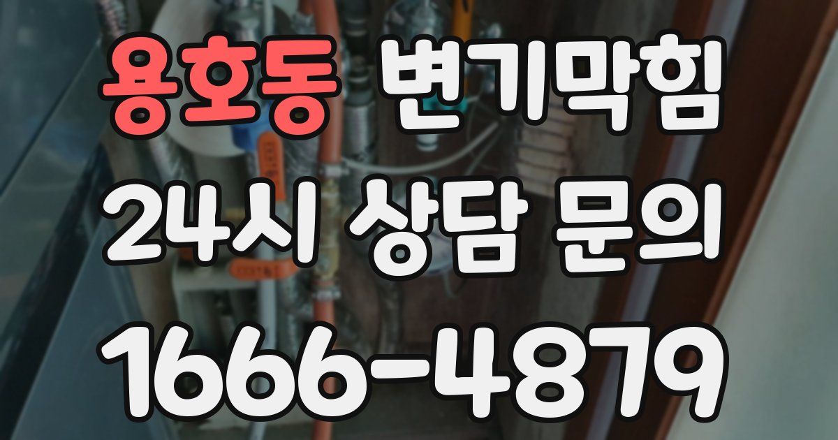 용호동 변기