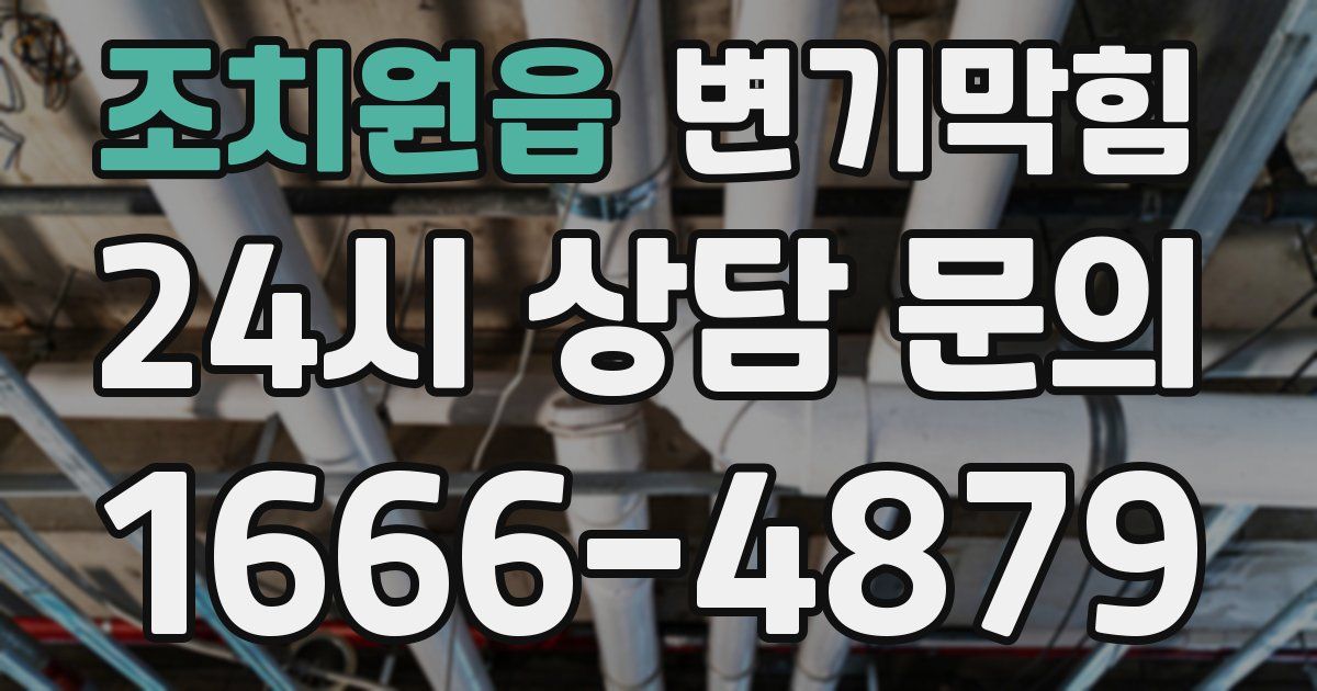 조치원읍 변기