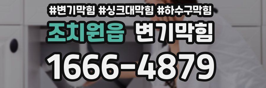 변기막힘