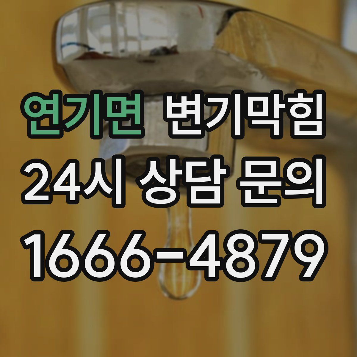 연기면 변기막힘