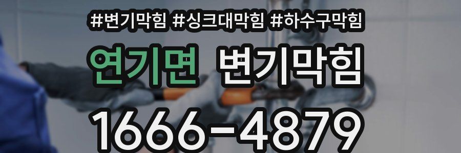 변기막힘