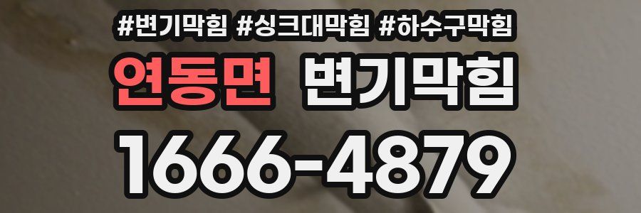 변기막힘