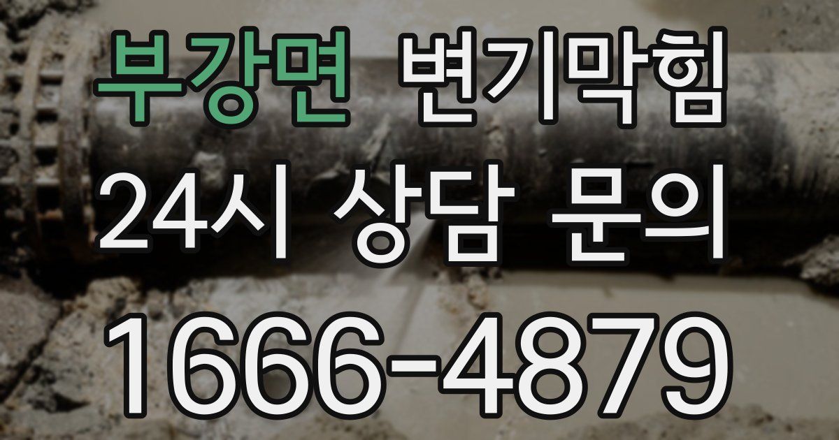 부강면 변기