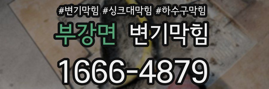 변기막힘
