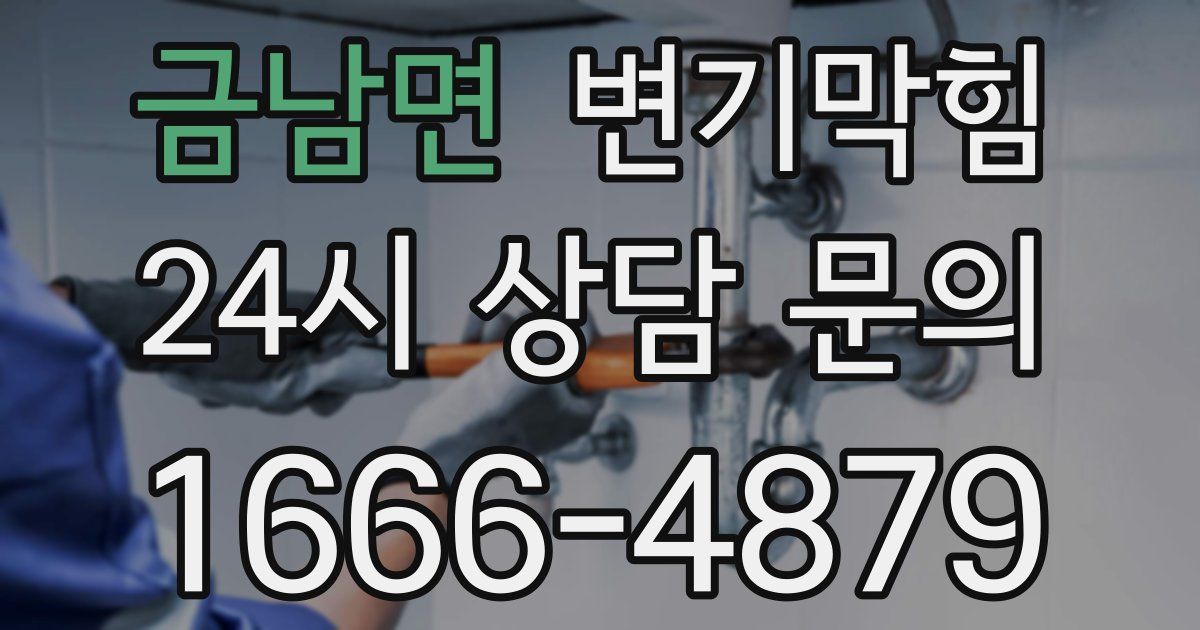 금남면 변기