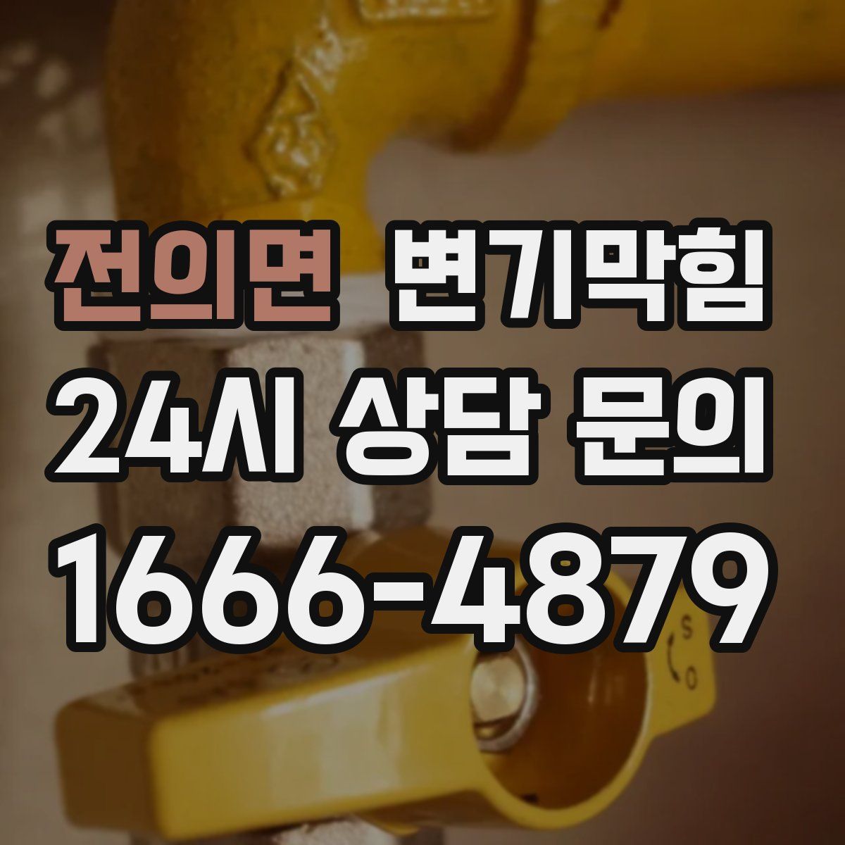 전의면 변기막힘