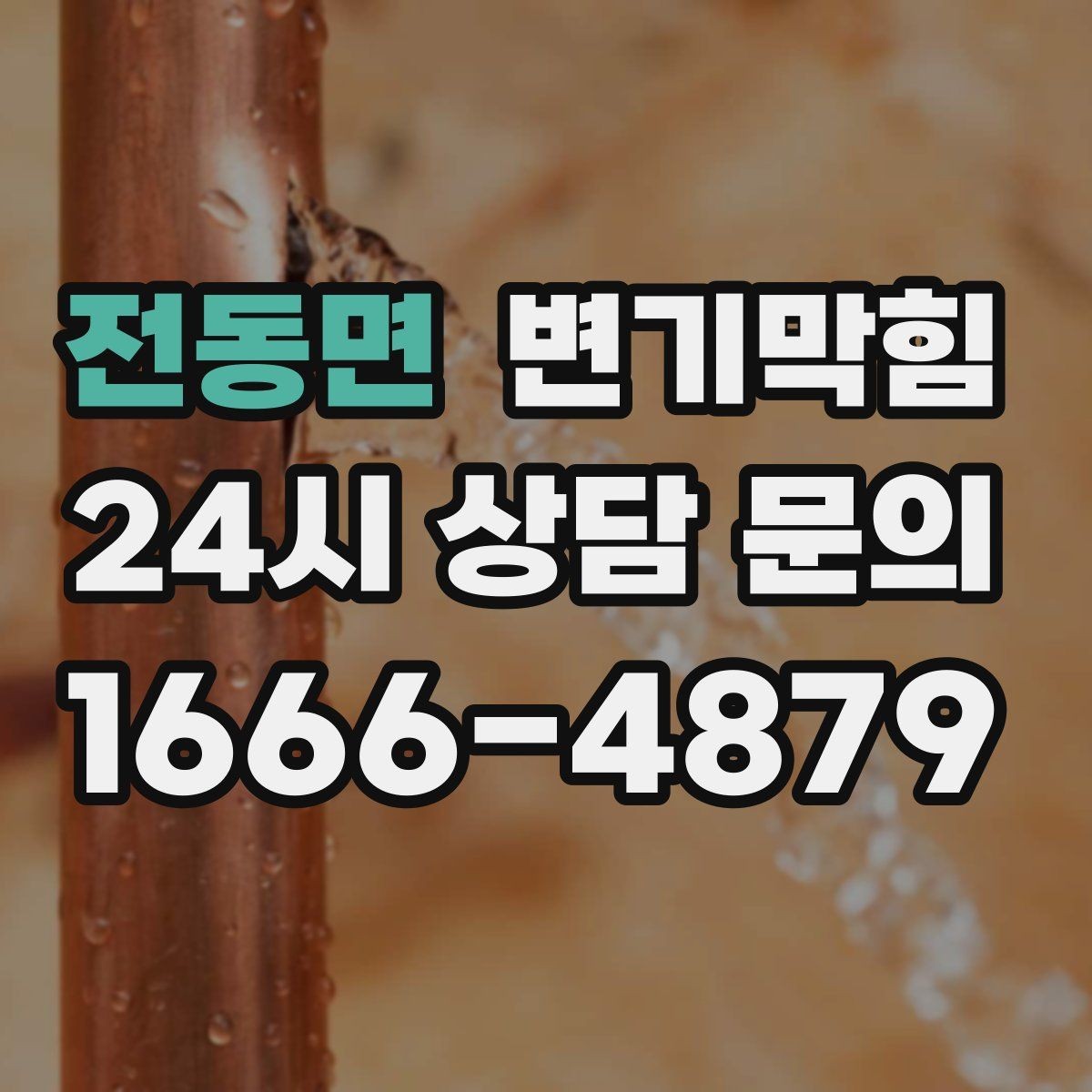 전동면 변기막힘 변기물이안찰때 수위가 너무 높을 때
