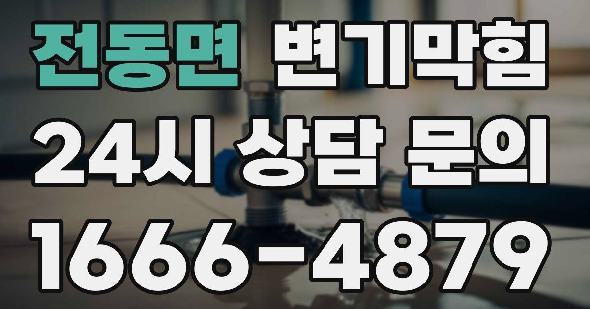전동면 변기