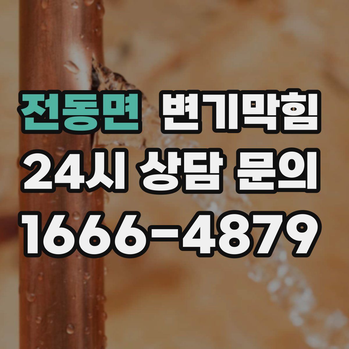 전동면 변기막힘