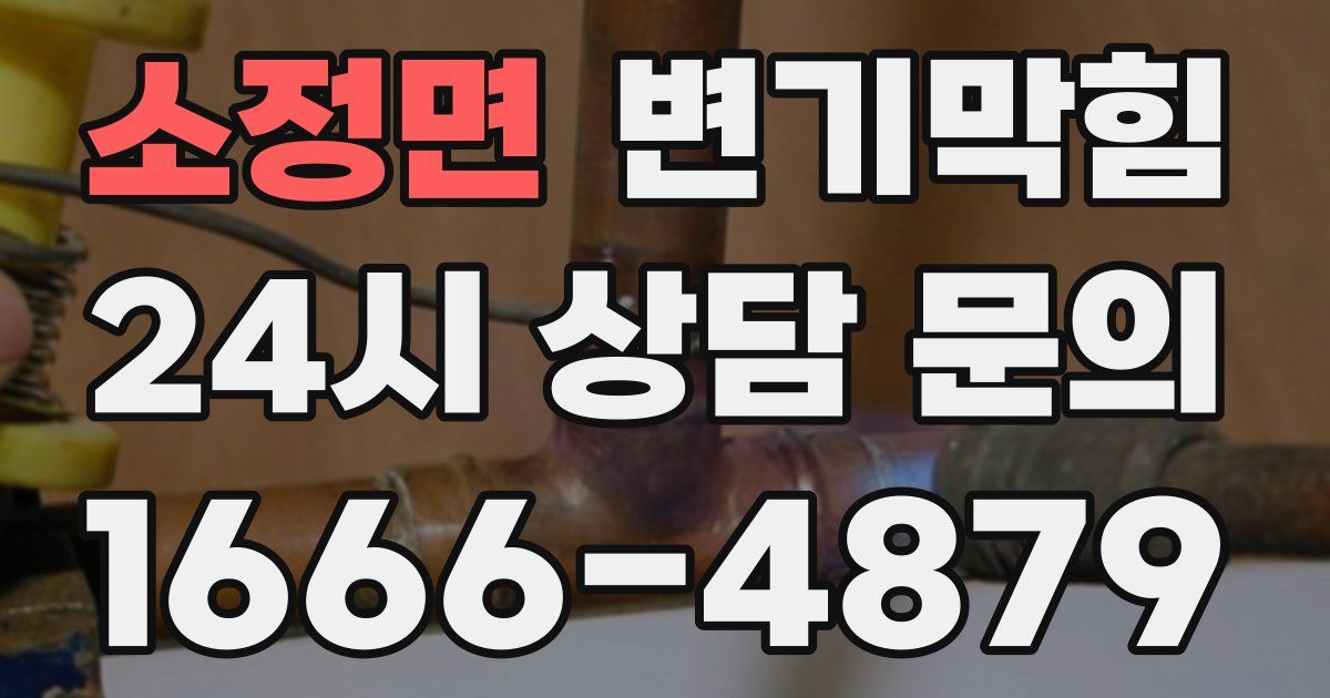 소정면 변기