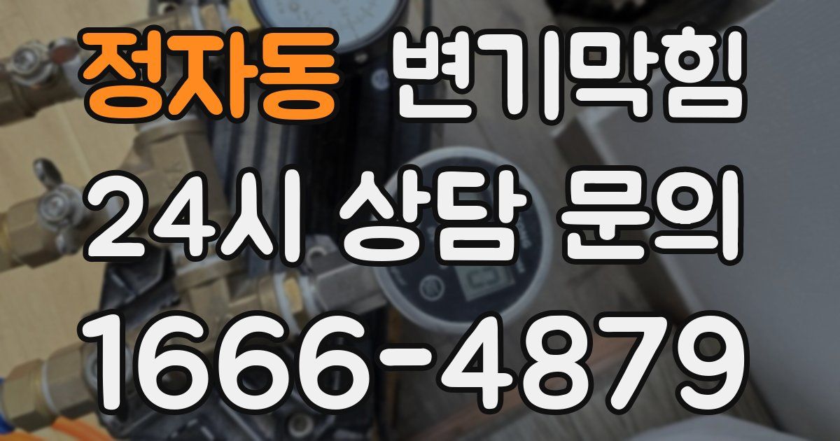 정자동 변기