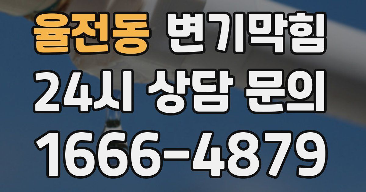 율전동 변기