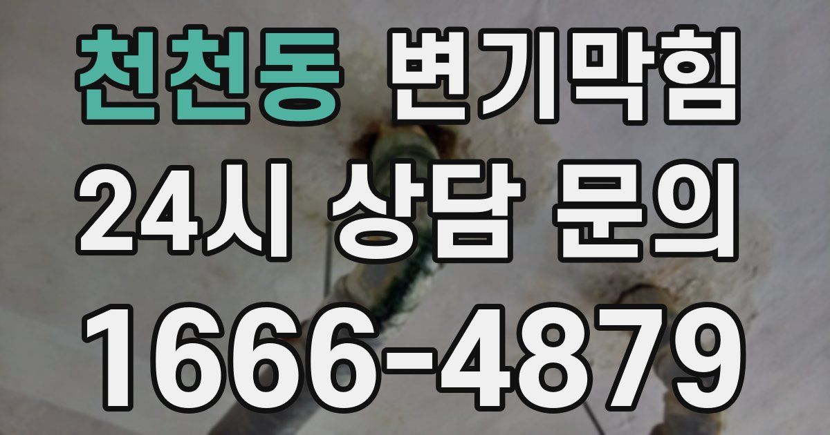 천천동 변기