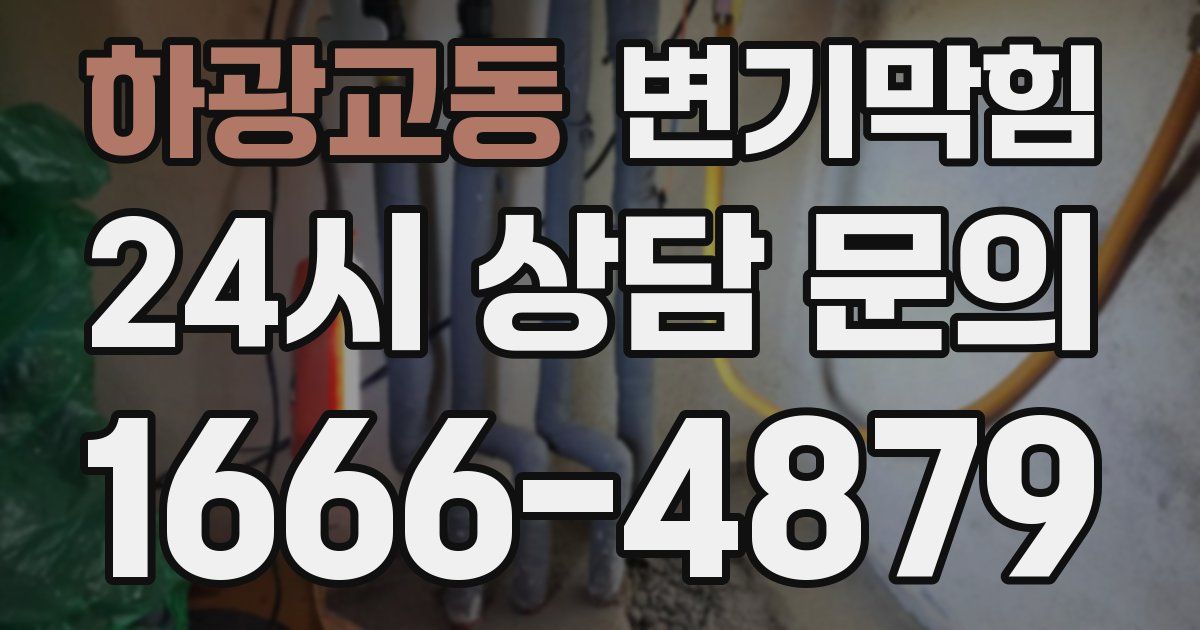 하광교동 변기