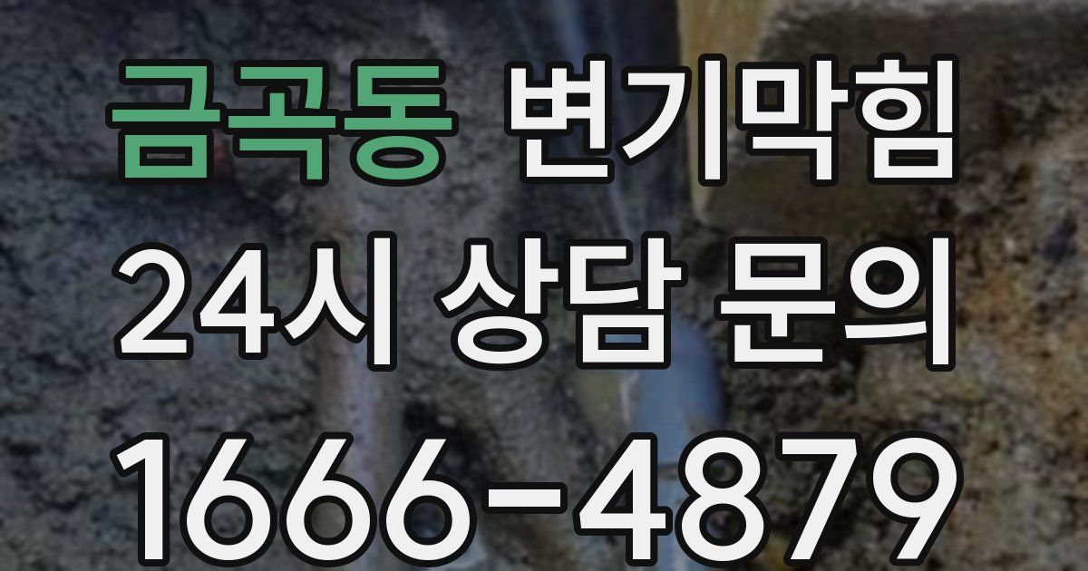 금곡동 변기