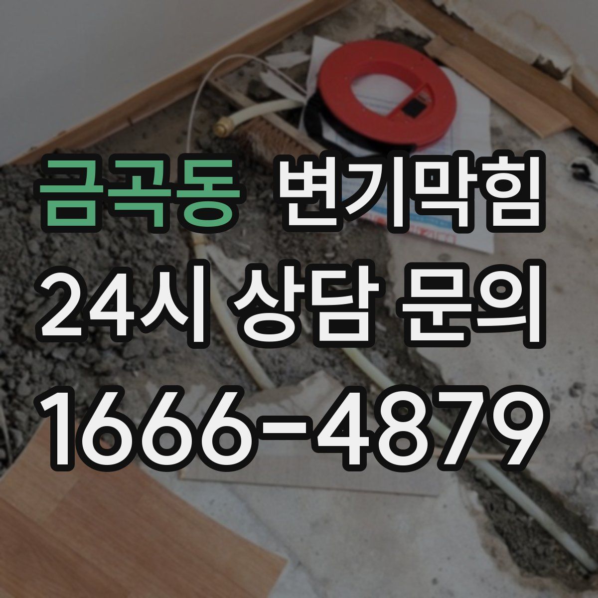금곡동 변기막힘