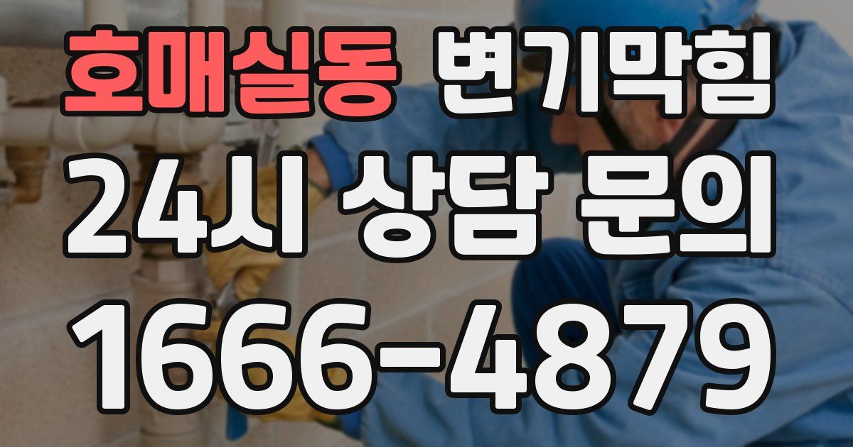 호매실동 변기