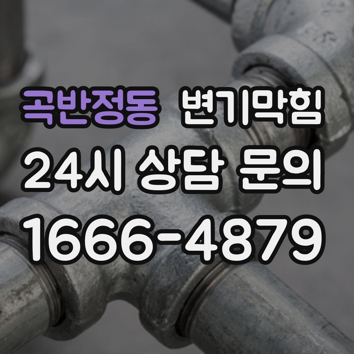곡반정동 변기막힘 카페 배수구막힘 오픈 키친 향 지킨 복구