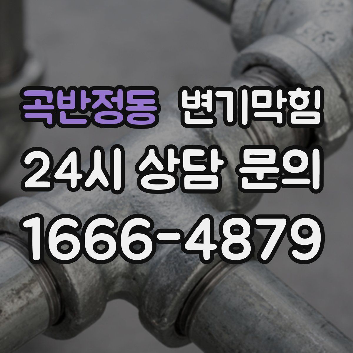 곡반정동 변기막힘