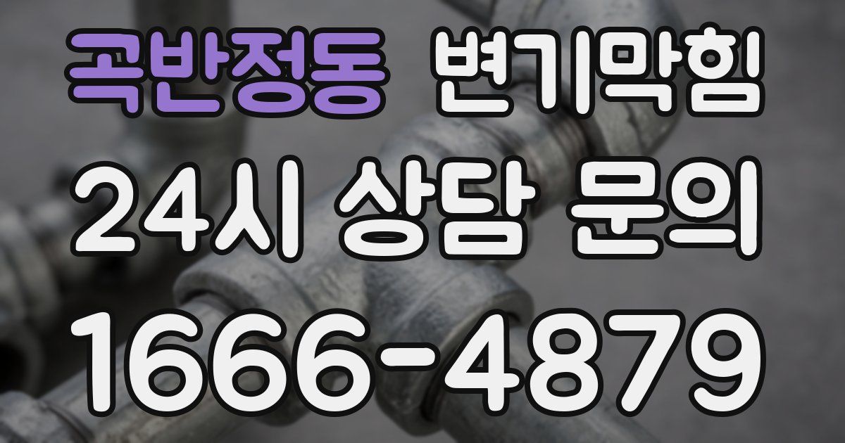 곡반정동 변기