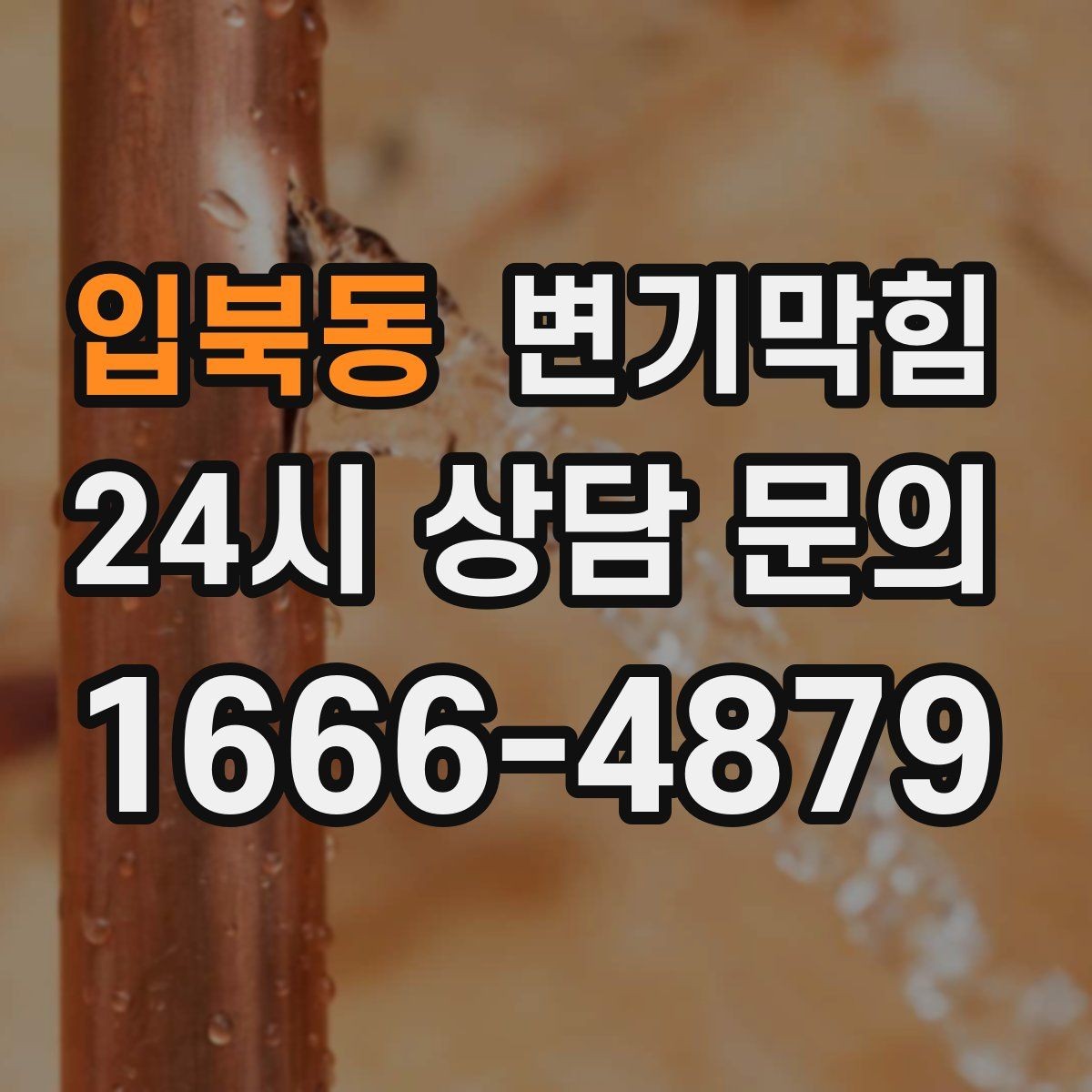 입북동 변기막힘 카페 통기관 역풍 차단