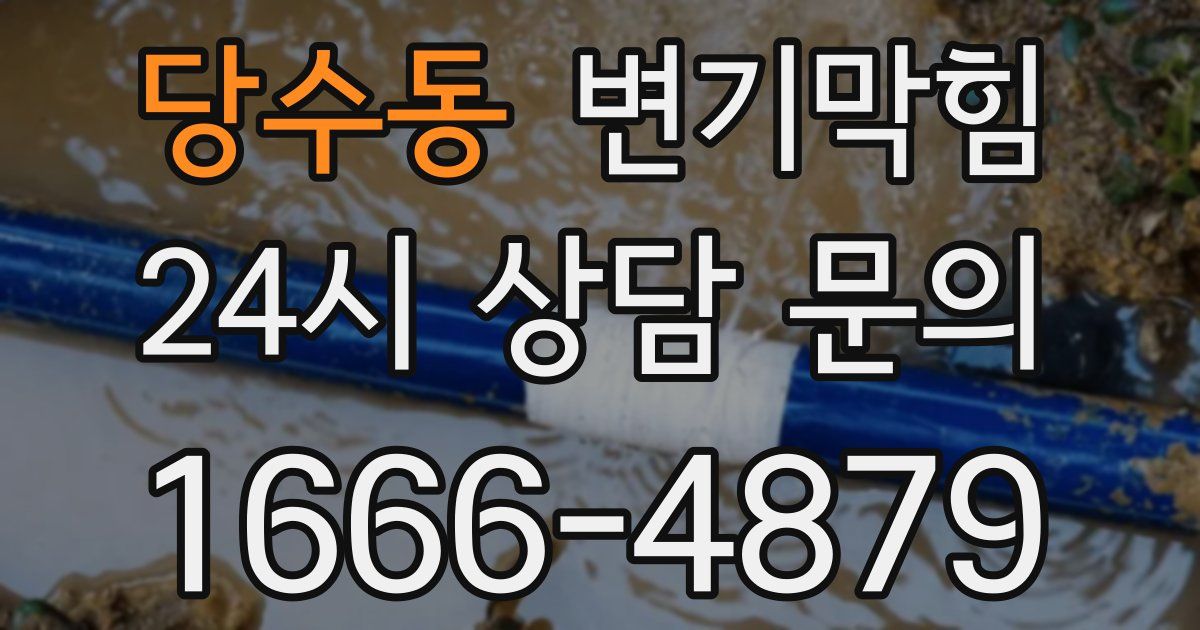 당수동 변기