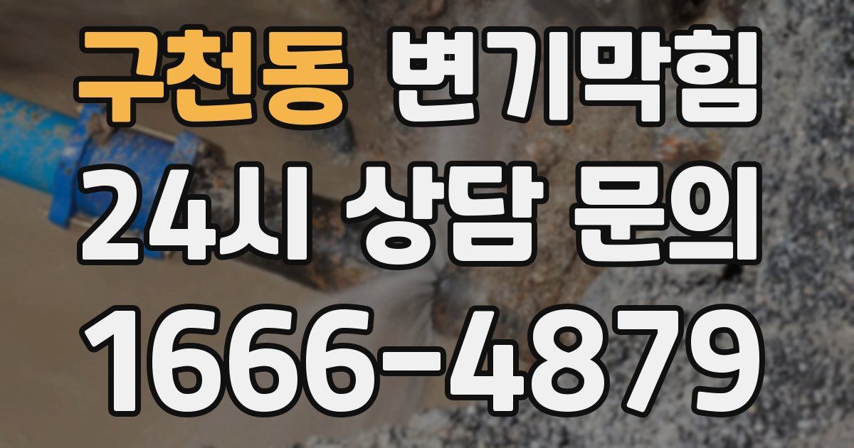 구천동 변기