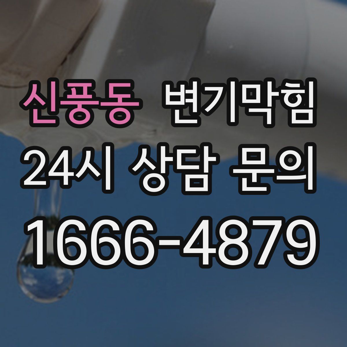 신풍동 변기막힘