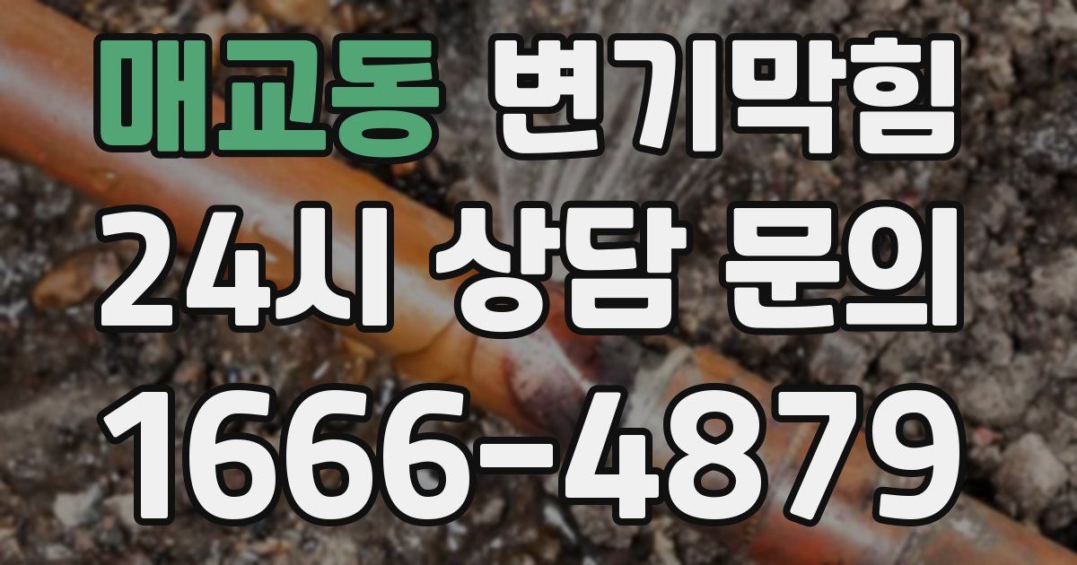 매교동 변기