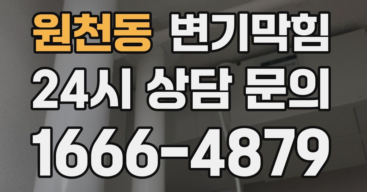 원천동 변기