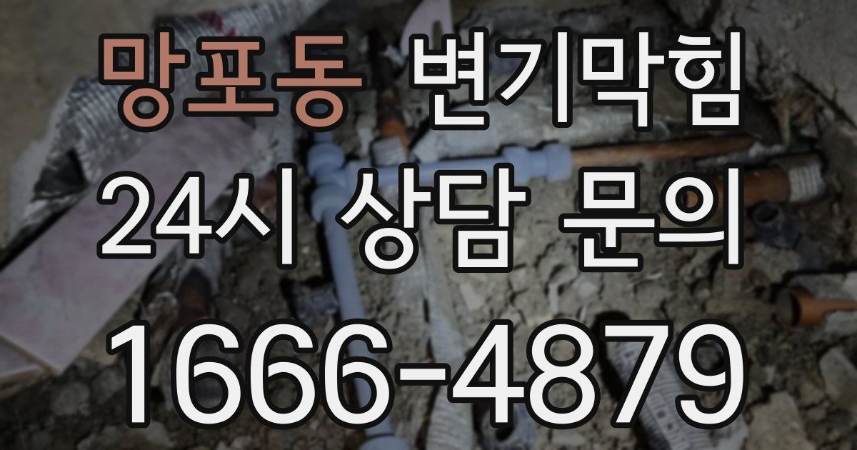 망포동 변기