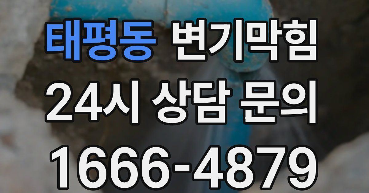 태평동 변기
