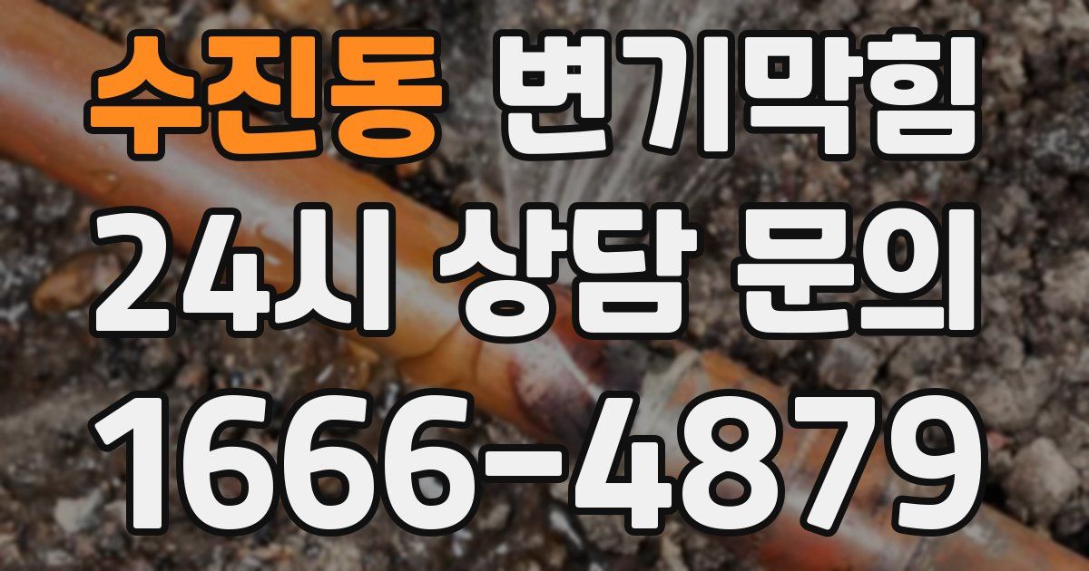 수진동 변기