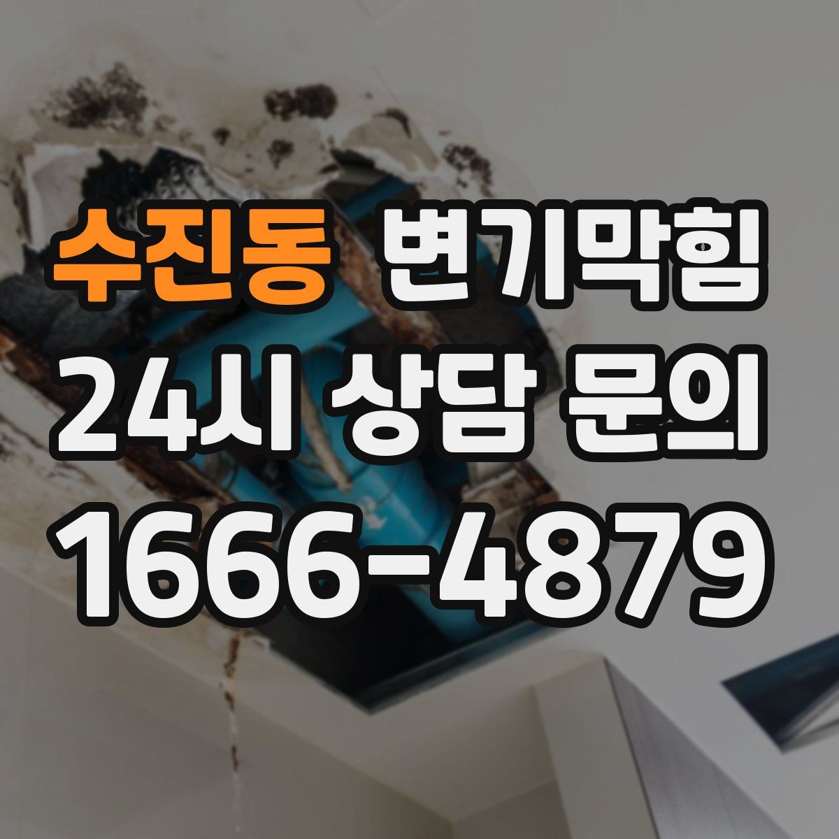 수진동 변기막힘