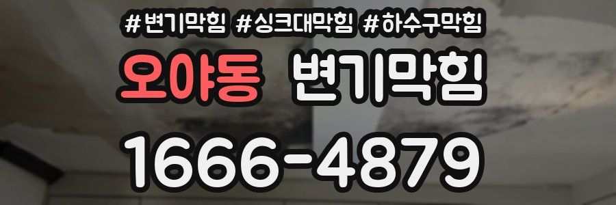 변기막힘